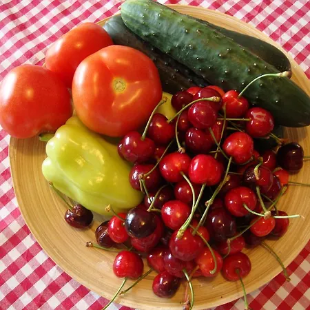 Appartamento Tina *